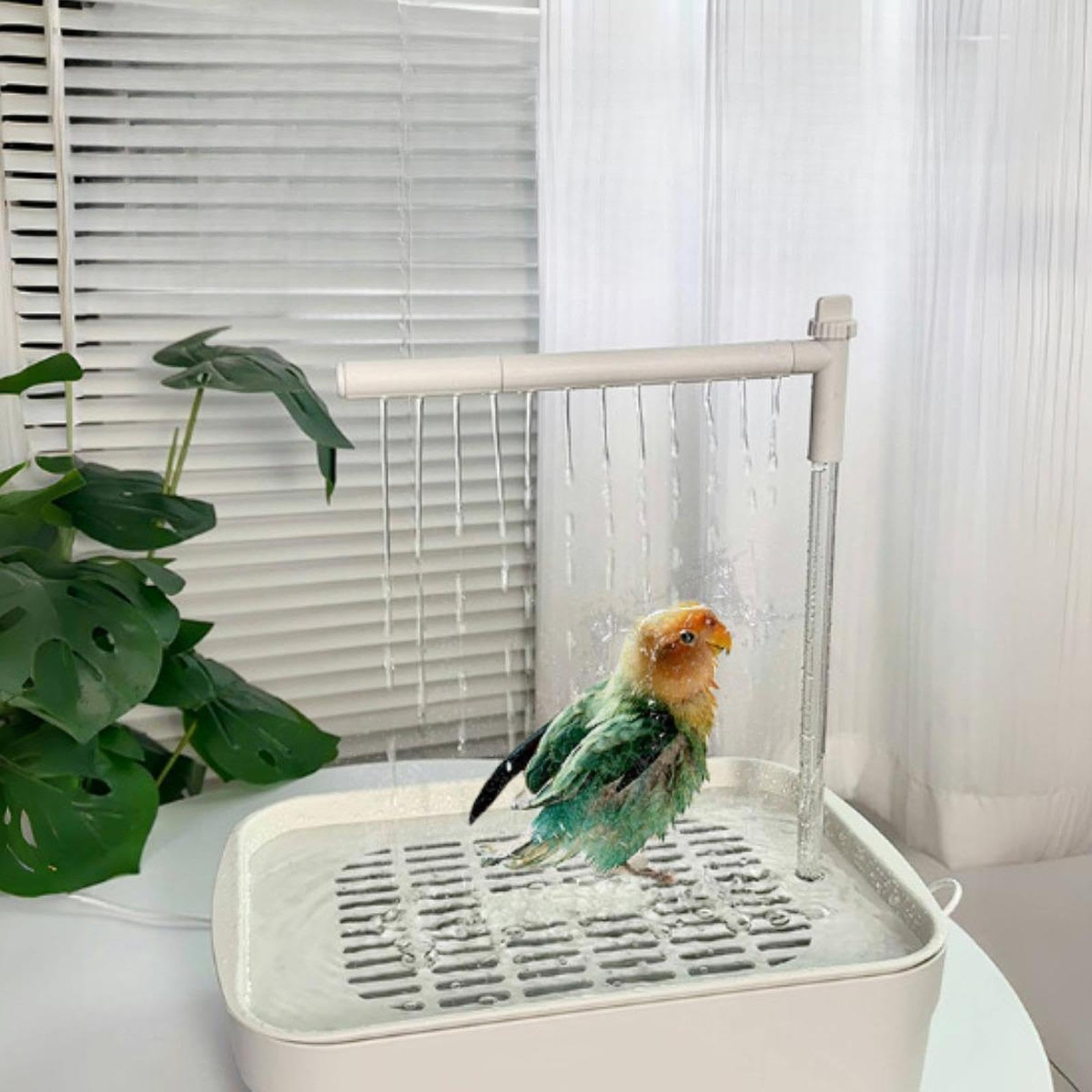 de baño automático para pájaros, Incluye Ducha y Fuente de Agua, Blanco, L