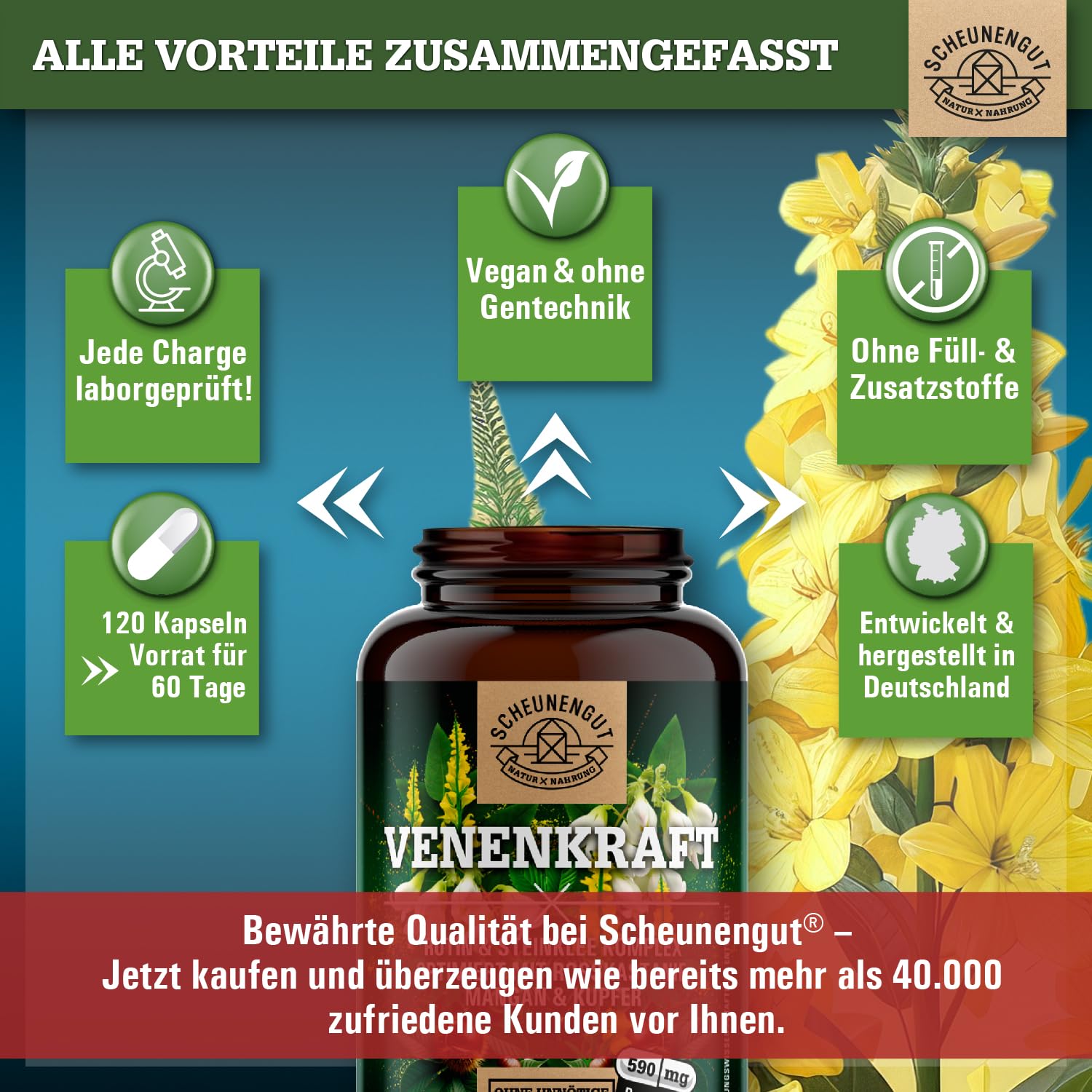 VENENKRAFT® Rutin Steinklee Kapseln Hochdosiert - WICHTIG: Laborgeprüfter Venen-Komplex mit Rutin, Steinklee, Rosskastanienextrakt, Mangan,Kupfer uvm. 120 Stk DE SCHEUNENGUT®