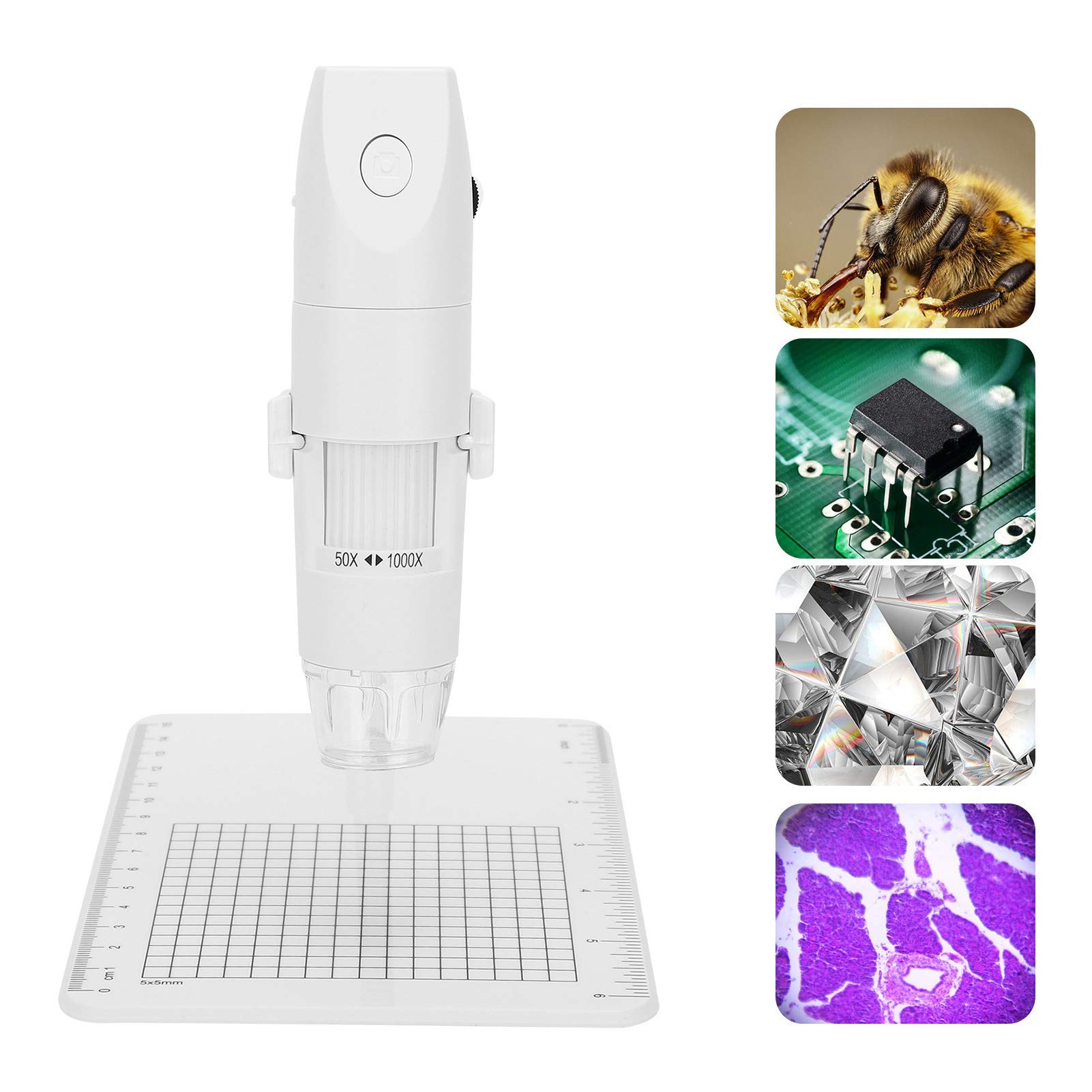 Microscopio Digitale Wireless HD 1080P, Ingranditore USB 1000X