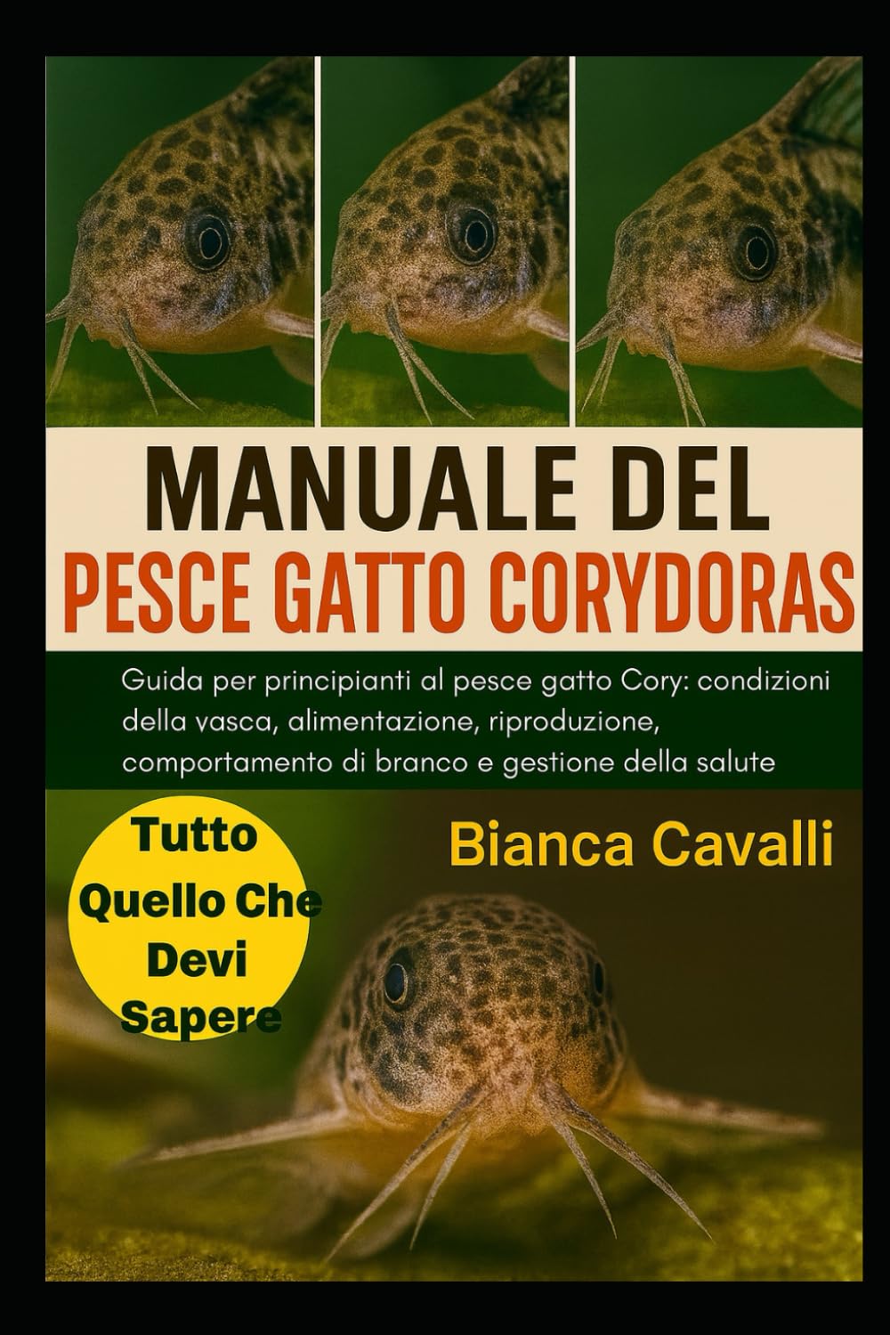 MANUALE DEL PESCE GATTO CORYDORAS: Guida per principianti al pesce gatto Cory: condizioni della vasca, alimentazione, riproduzione, comportamento di branco e gestione della salute