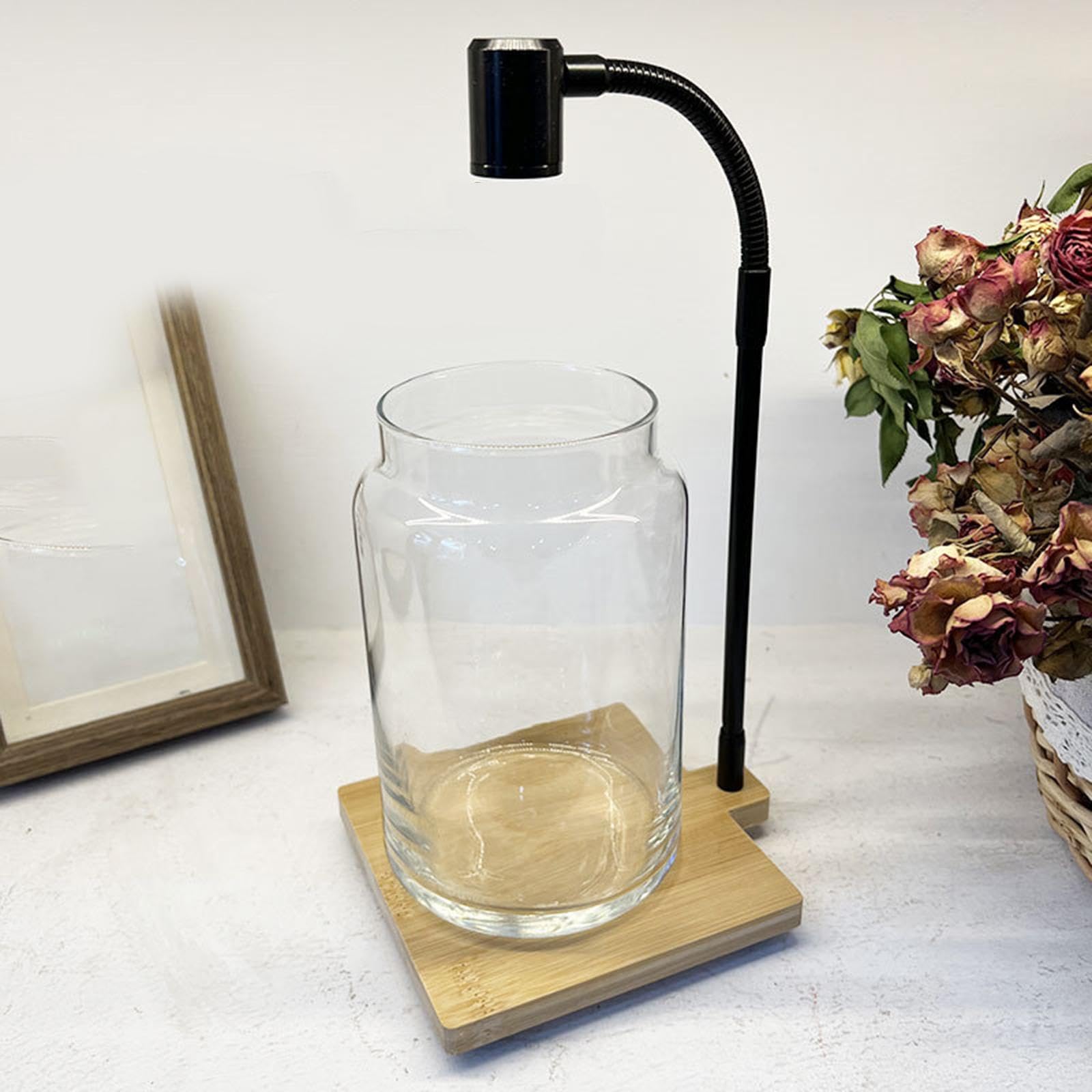 Lampe LED pour Aquarium et Plantes avec Support pour La Croissance des Plantes D'extérieur