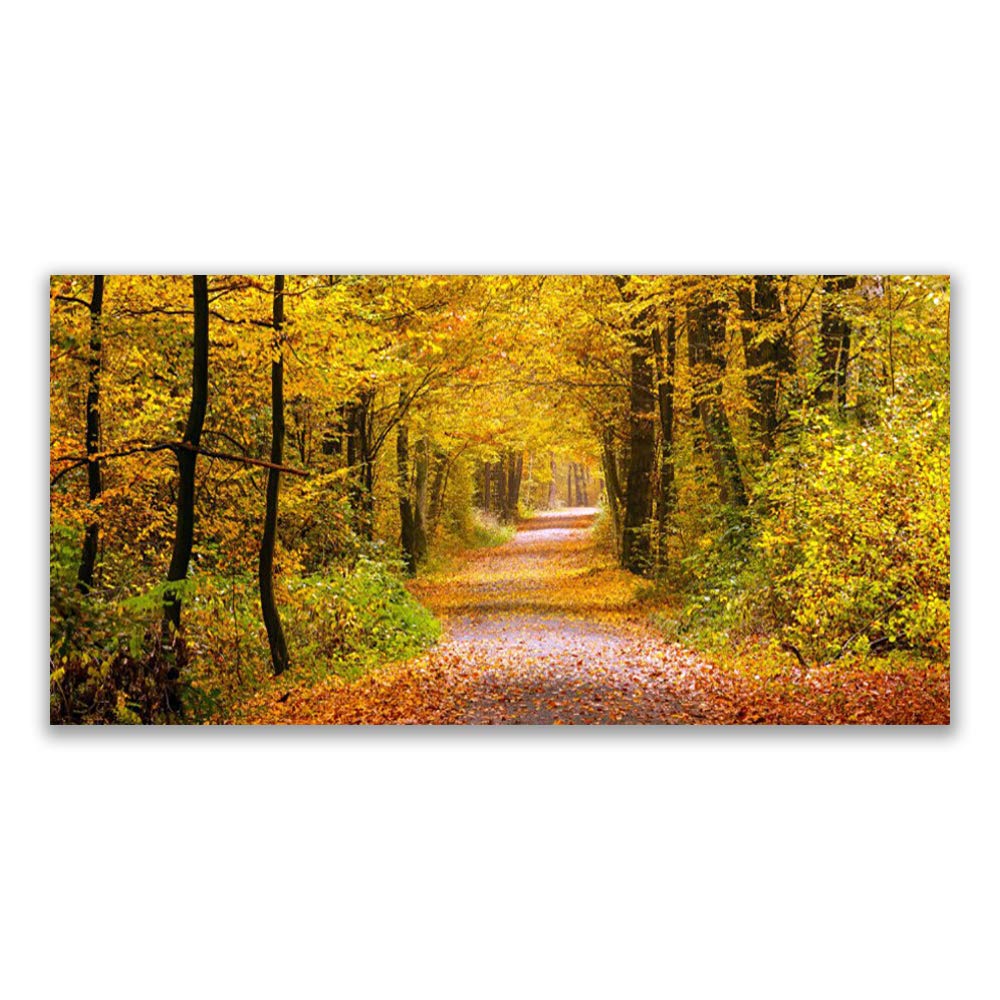 Impression sur verre acrylique 120x60 cm Tulup nature forêt pour décoration murale moderne