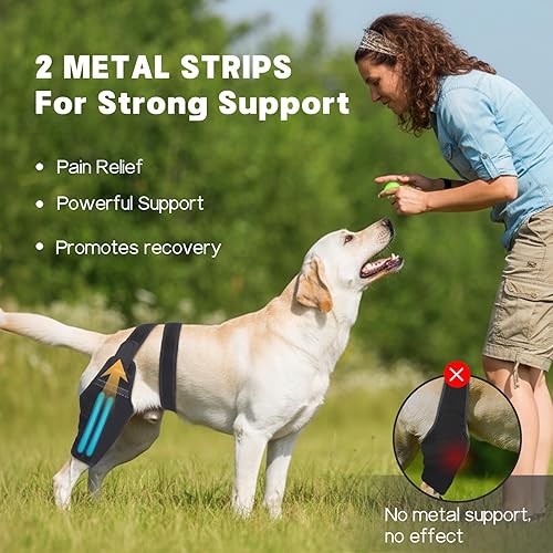 Miniatura 3 de Rodillera para perro para pierna trasera desgarrada, soporte ajustable con 2 estabilizadores para reducir el dolor, lesiones de ligamentos y rótula