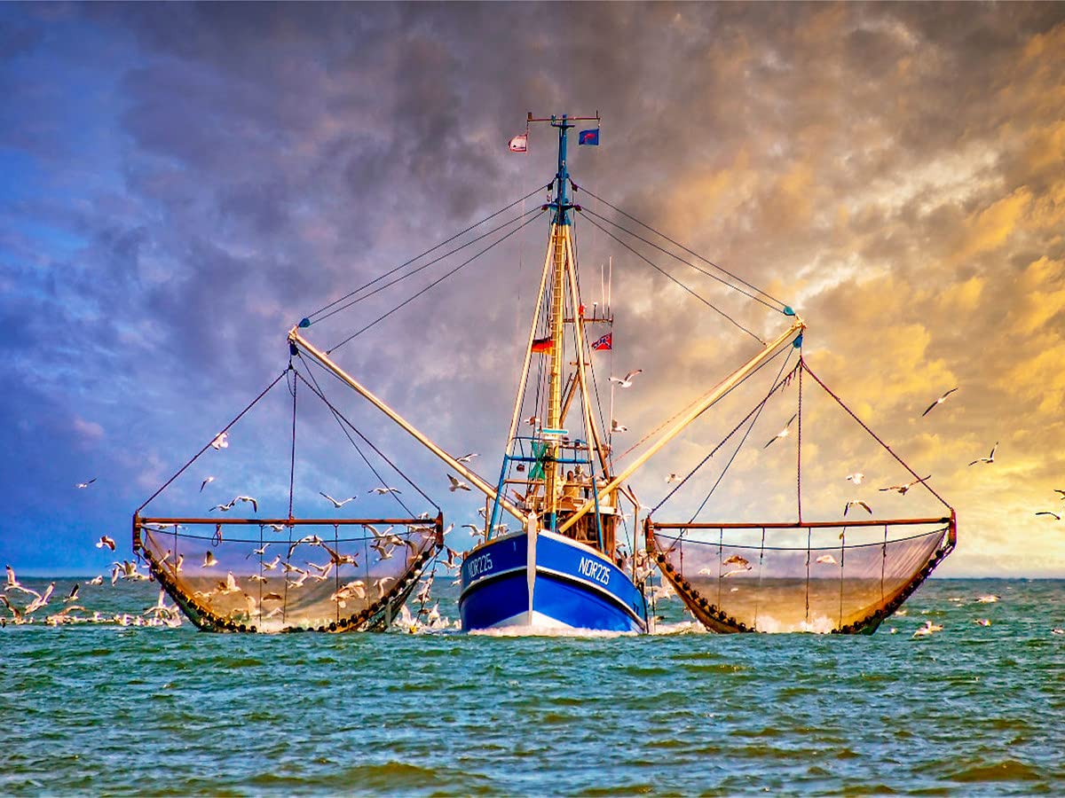 CALVENDO Puzzle 1000 Teile - Die Größte Krabbenkutterflotte Ostfrieslands | Foto-Puzzle 64x48 Cm Premium-Qualität