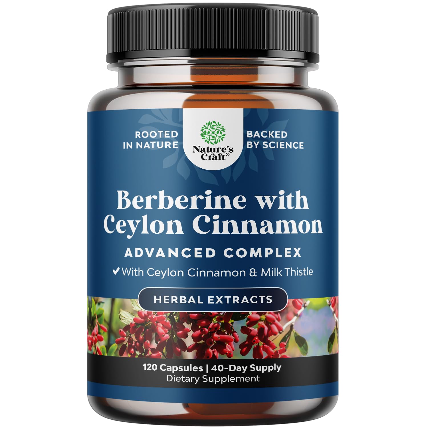 Balancing Berberine Plus 1200mg Per Serving Complex - Antioxidant Berberine with Ceylon Cinnamon Capsules Plus Silymarin Milk Thistle Extract -Active PK for Heart Health and Sugar Support 120 Capsules