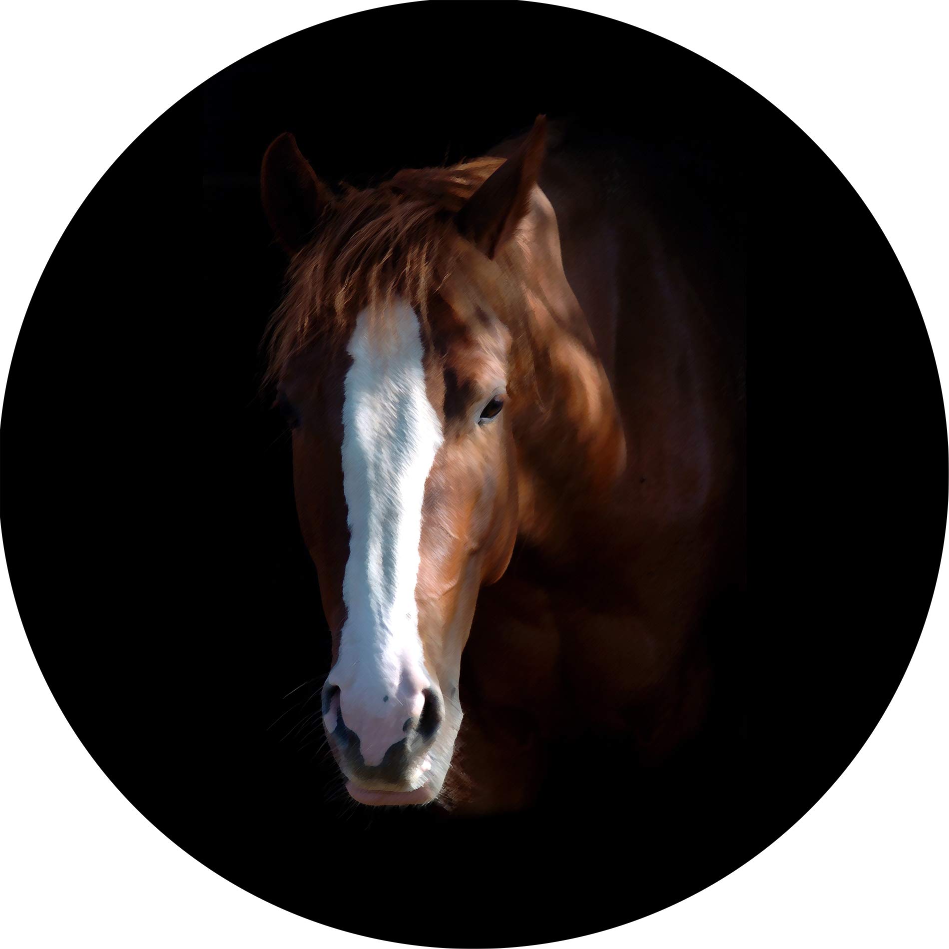 TIRE COVER CENTRAL Thoroghbread Horse Head Spare Tire Cover (Select tire Size/Back up Camera Option in MENU) Custom Sized to Any Make/Model for 225/75R15