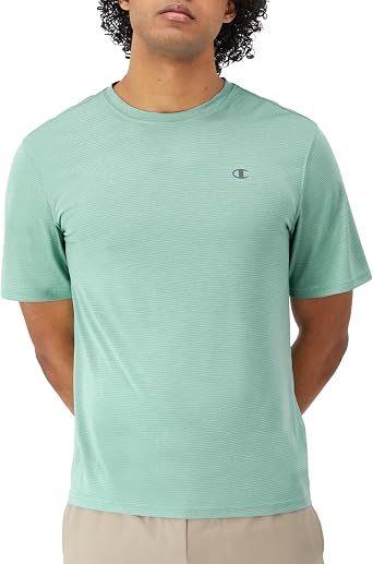 Champion Mens T-Shirt, Novelty Sport, Wicking, Anti-Odor Lightweight Mens T-Shirt