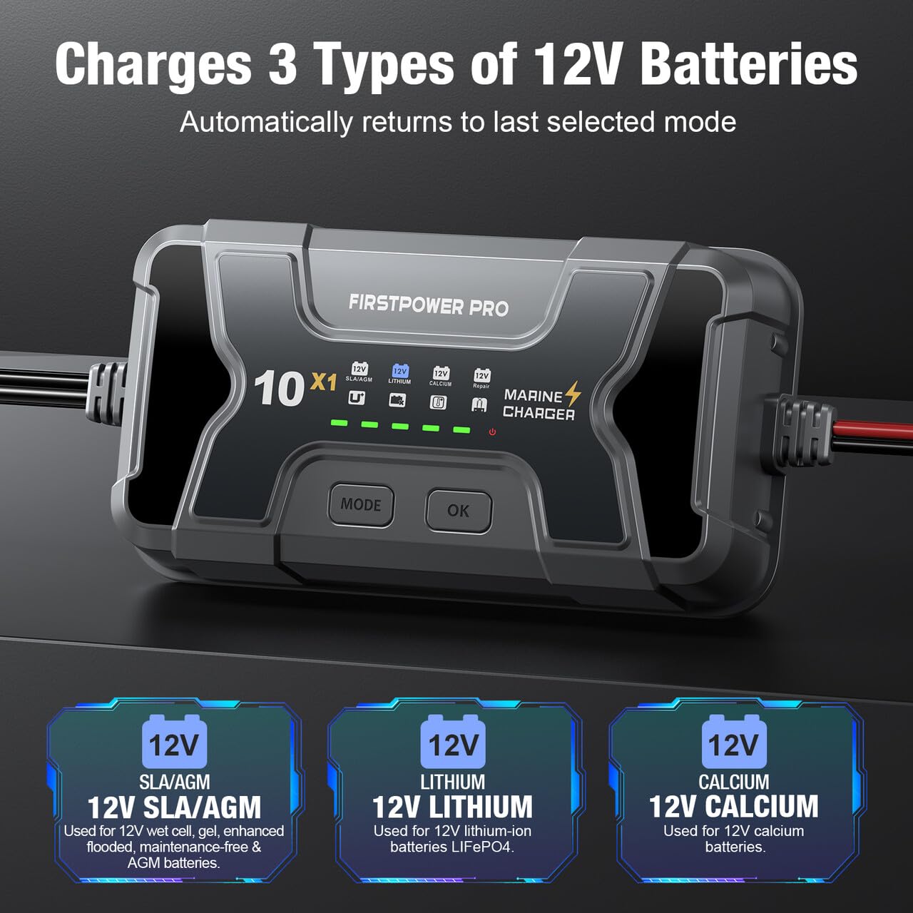 Caricabatteria marino 10X1: 1-Bank, 10A Onboard Charger - 10A per banca, 12V Impermeabile Barca Caricabatteria per SLA/AGM, Litio, Calcio - Carica 24/7