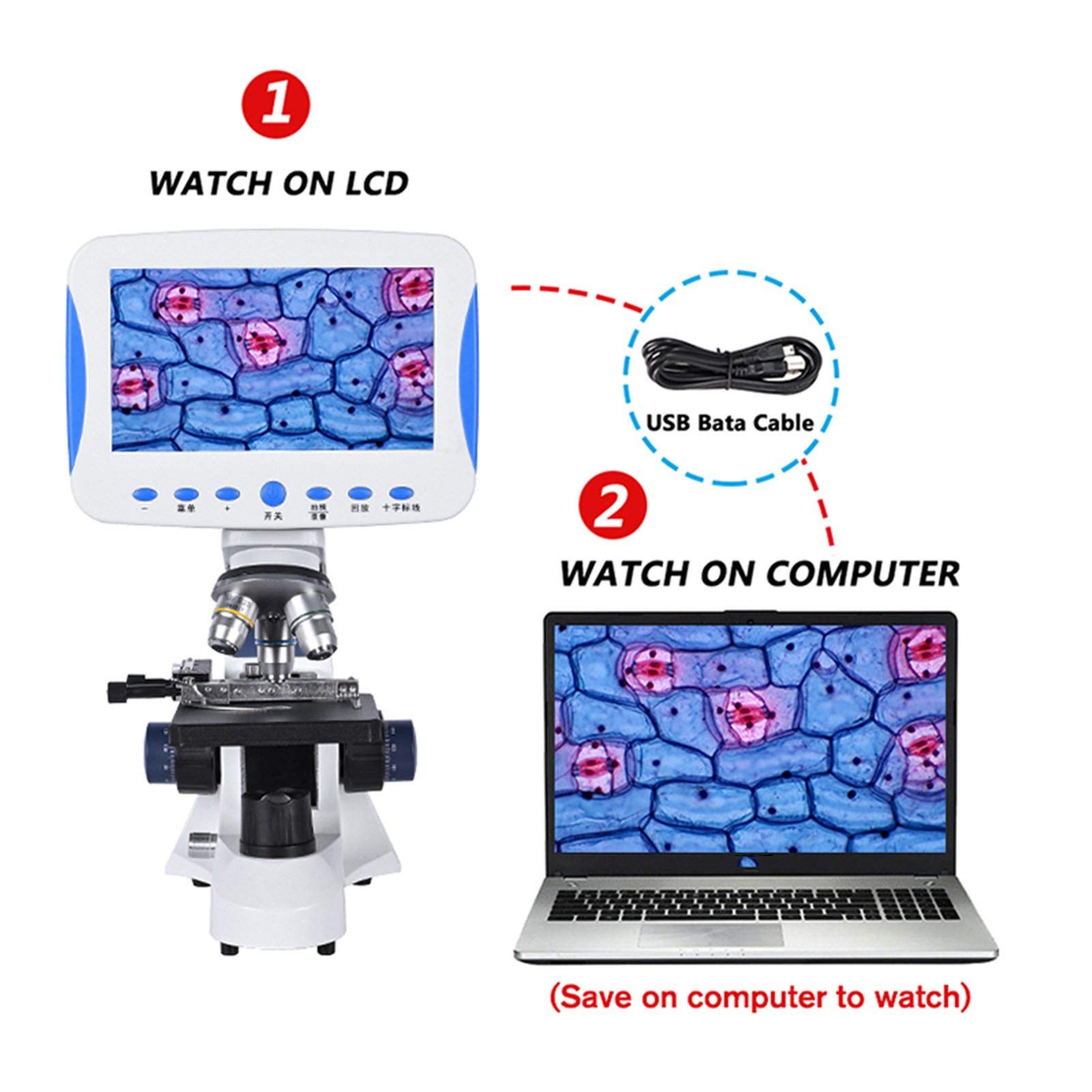 Microscopio da Laboratorio Biologico LCD da 7 Pollici Digitale HD coassiale con Regolazione fine Zoom 2000X LED + Borsa + Scheda SD può memorizzare Video e Foto