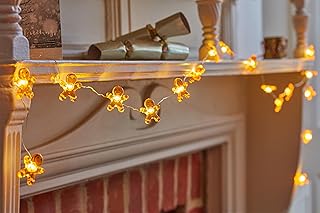 Smart Garden Christmas Gingerbread Man String Lights Set of 