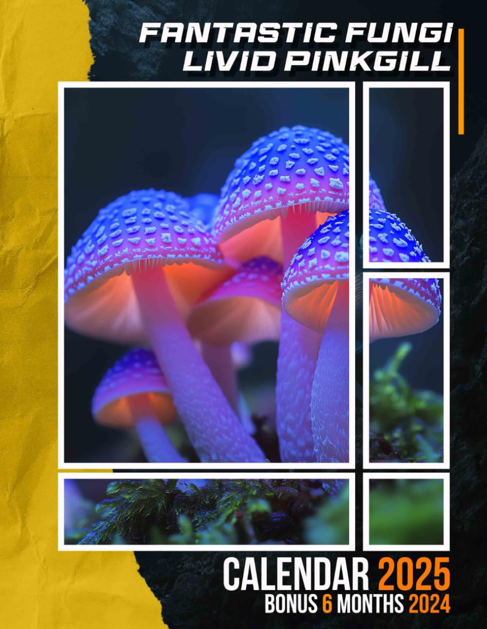 Fantastic Fungi Livid Pinkgill 2025: 18 Months of Nature's Mystique July 2024 to December 2025 Organize with a Large-Sized Highlighting the Fascinating Beauty of Fantastic Fungi Ideal Gifts