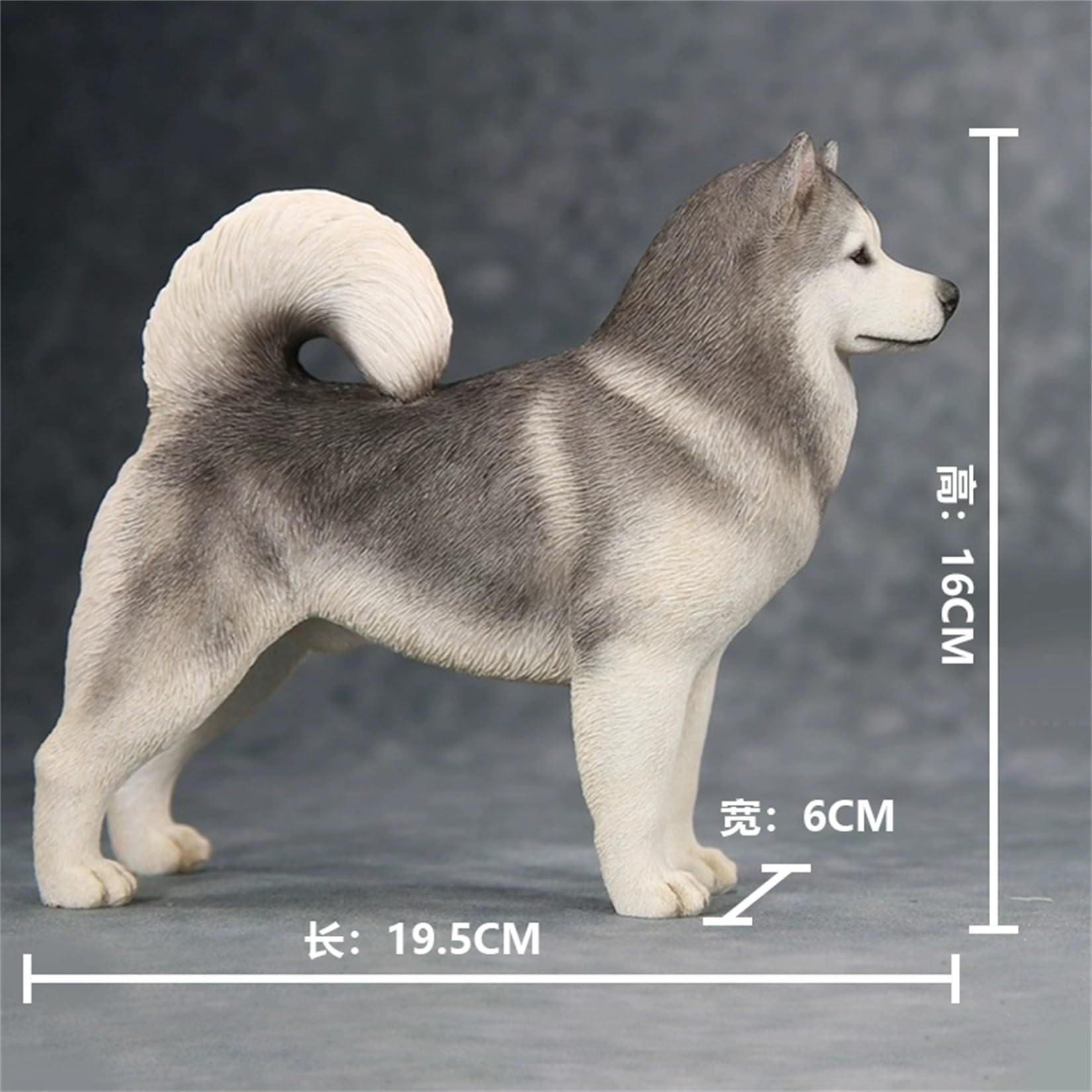 Amazon.co.jp: 1/6 サイズ アラスカン・マラミュート 可愛い 犬 動物