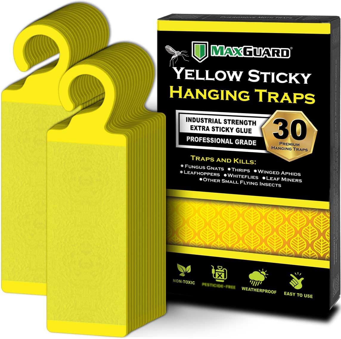 MaxGuard (30 Pack) Yellow Sticky Hanging Traps - Catch and Kill Fungus Gnats, Whiteflies, Mosquitos, Aphids, Leaf Miners, Flying Insect Catcher Glue Trappers for Indoor or Outdoor