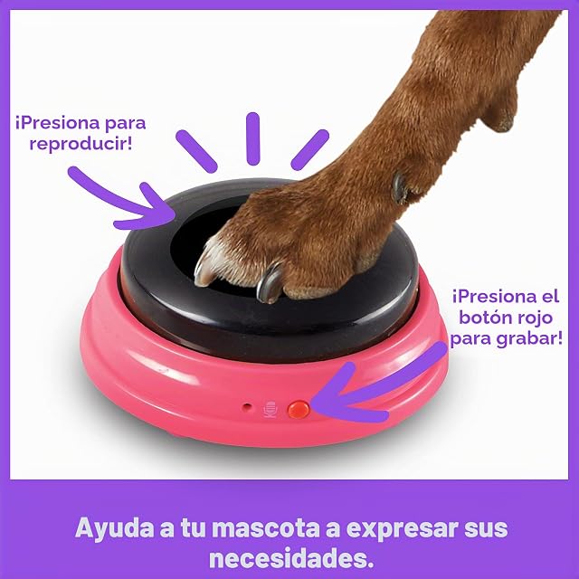 Foto 4 de 8 de Hunger for Words Set de Palabras Que designan Lugares para Mascotas Que Hablan