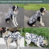 Ver la foto 2
