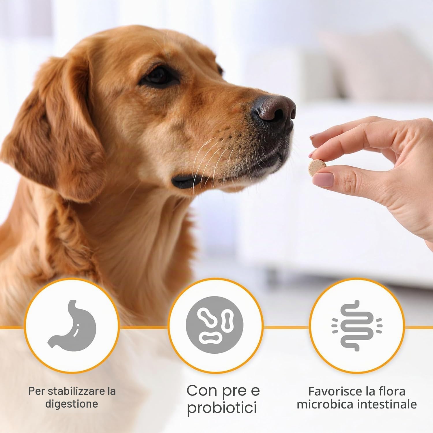 DIA TAB PRO Pastiglie masticabili f.Hunde/Katzen 100 g