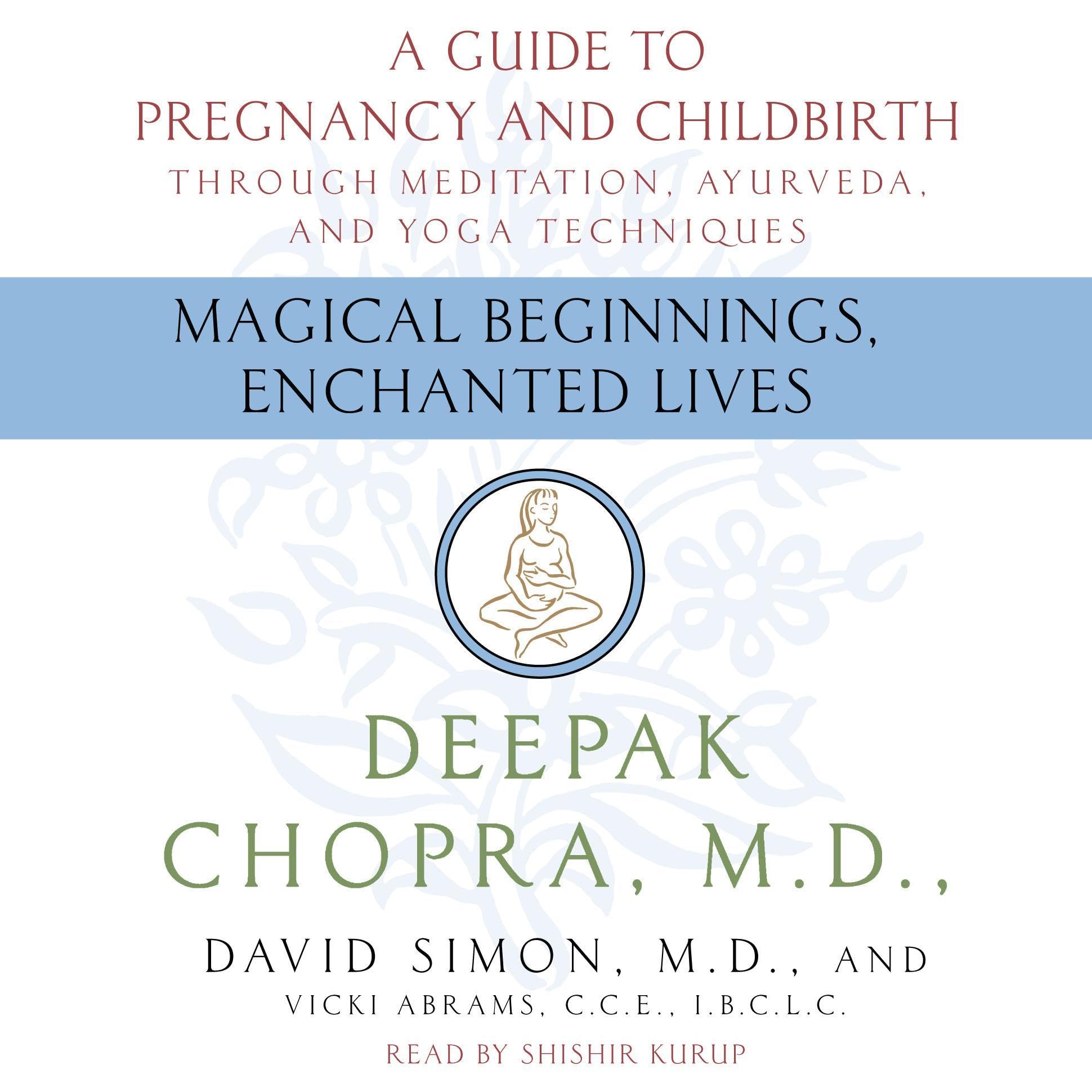Cover art for Magical Beginnings, Enchanted Lives