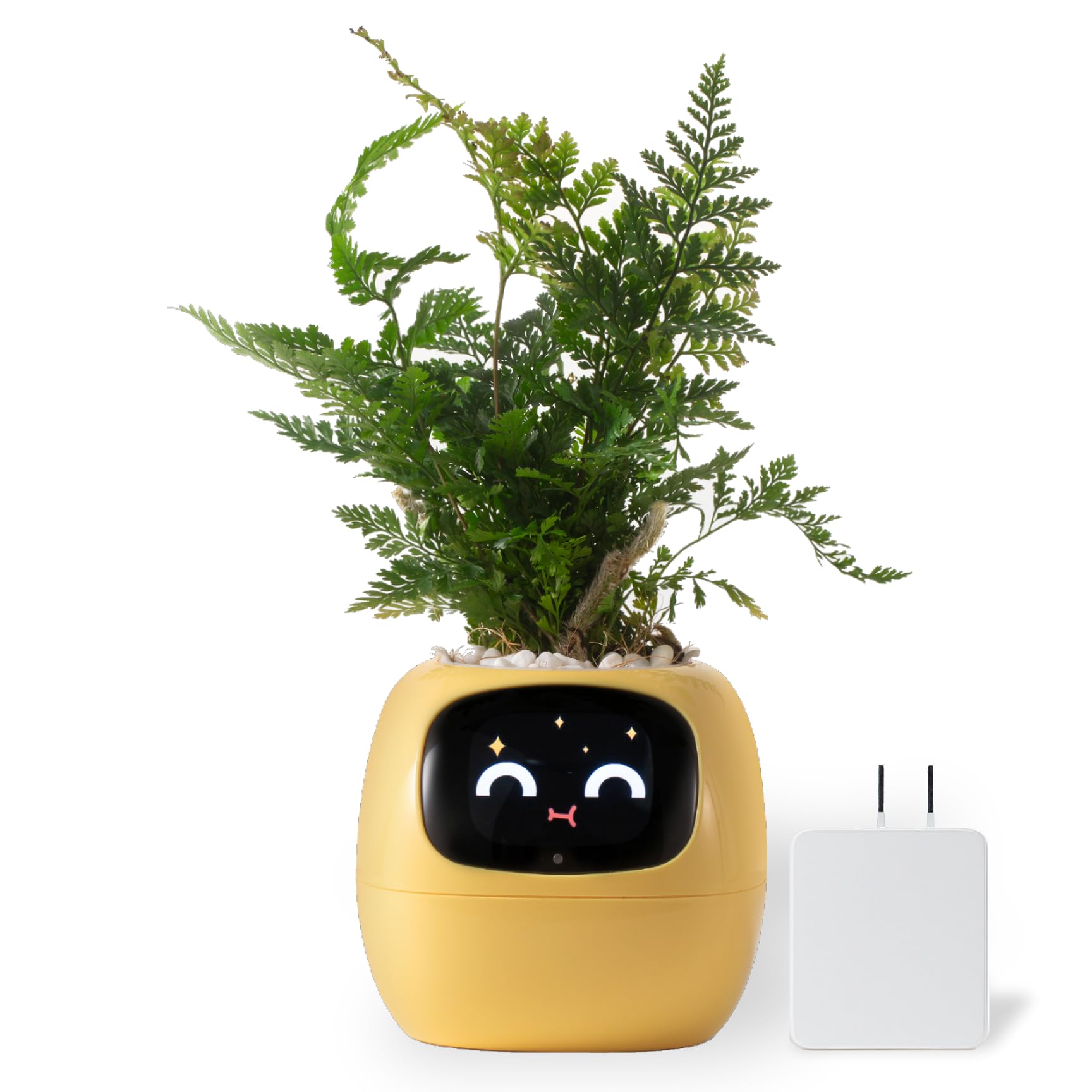 スマートプランター アイビー Smart planter Ivy 新生活 お友達