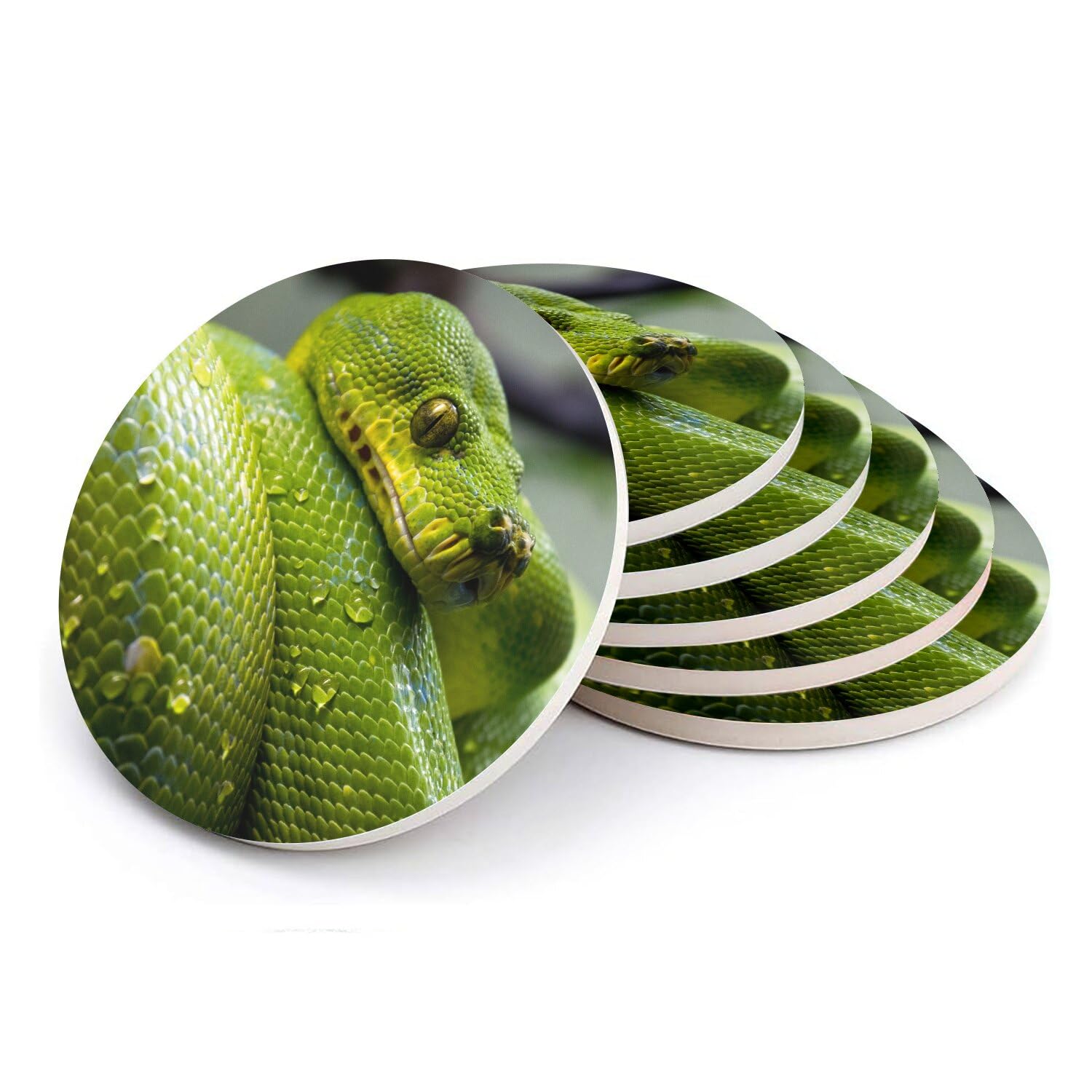 Sous verre serpent python vert en céramique pour apéritif convivial nature lot de 6
