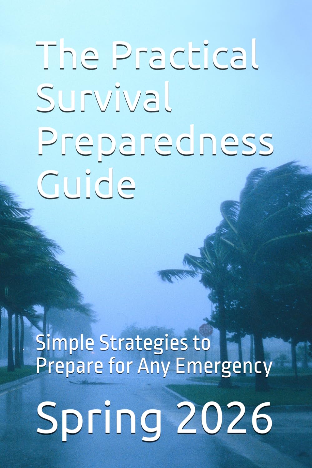 The Practical Survival Preparedness Guide: Simple Strategies to Prepare for Emergencies