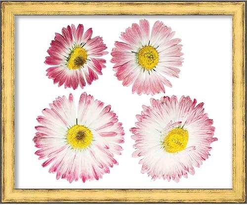 Miniatura 6 de 5x7 Gold Shadowbox Frame - Shadow Box Frame Interior Size 5x7 by 1.25 Inches Deep - Gold Frame Is Made to Display Items Up To 1.25 Inches Deep!