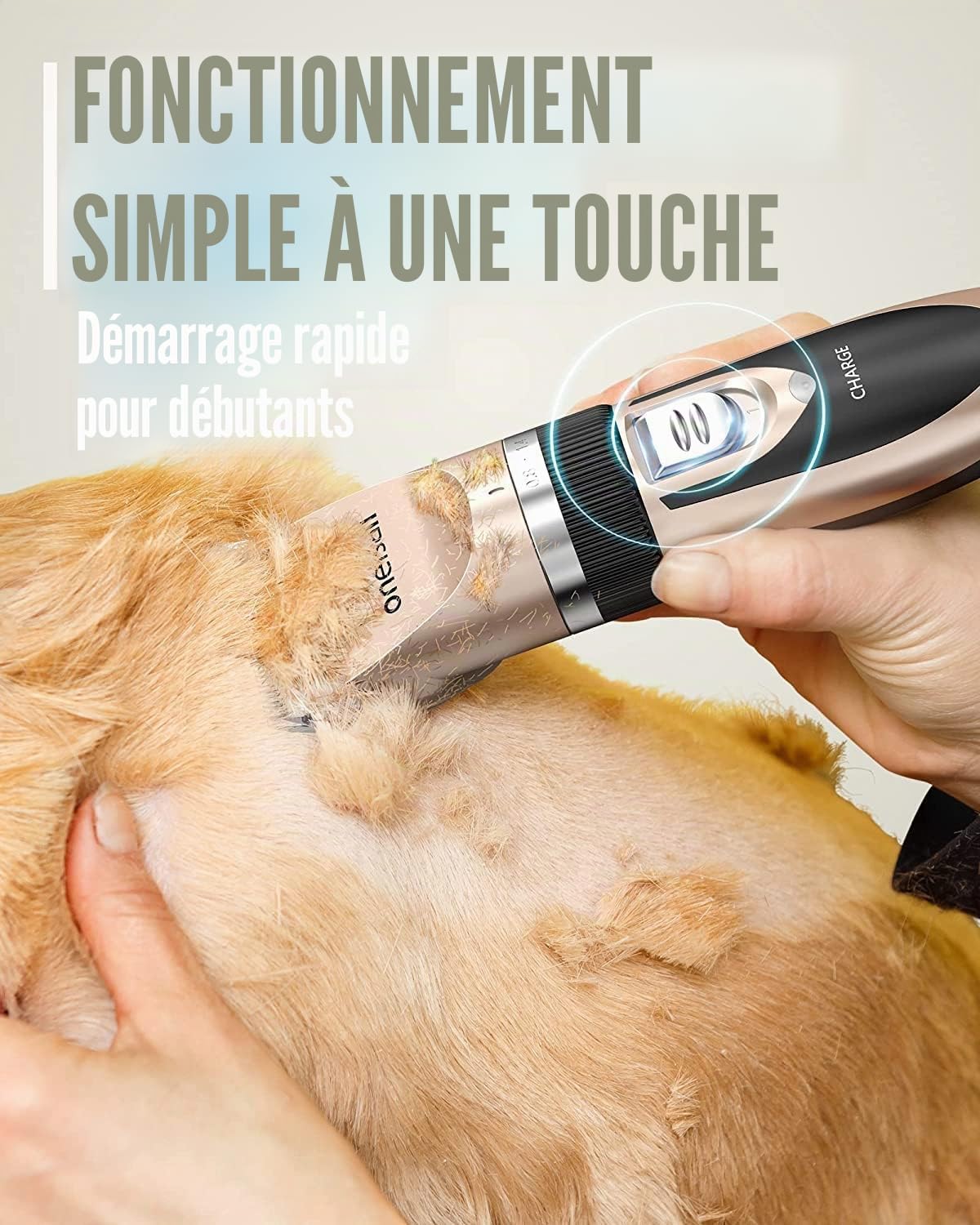 oneisall Tondeuse Chien Professionnelle Poil Long Epais Tondeuse pour Chats et Animaux Silencieux pour petits grands chiens chats animaux de compagnie (L'or)