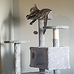 Review Image by T. LAGESSE T. LAGESSE