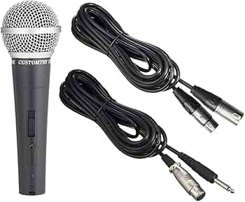 71-2omRCSiL._AC_UF350,