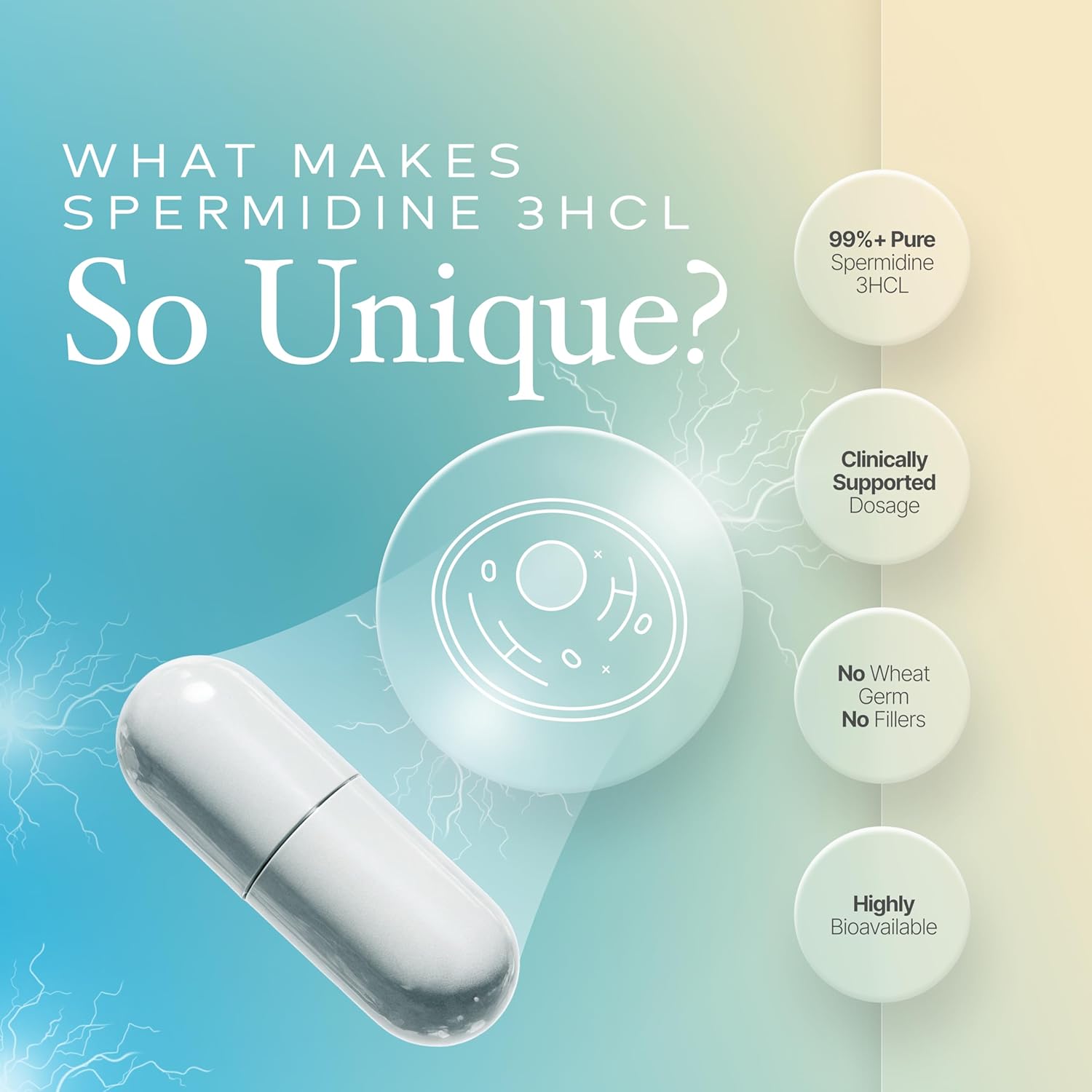 Spermidine Capsules Gluten Free 99% Concentration 100x More Potent Than Wheat Germ Extract for Anti-Aging DNA Telomere Support - Image 3