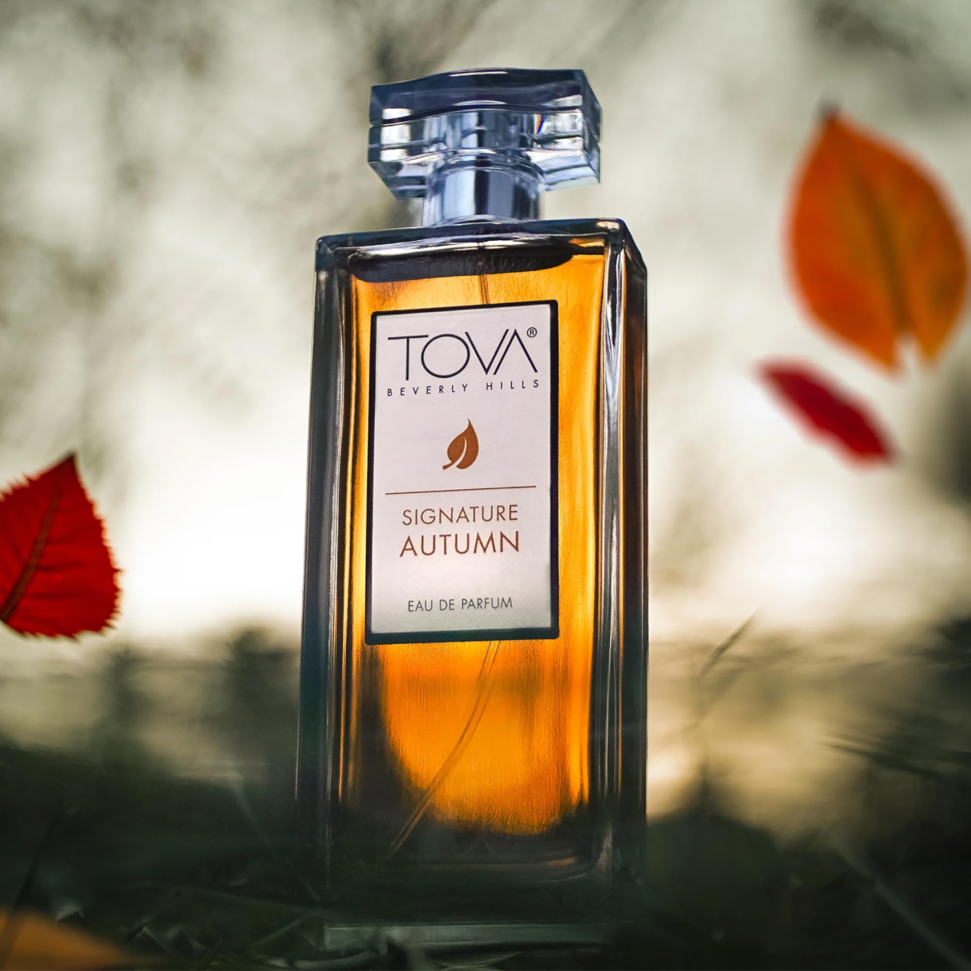 Amazon.com : Tova Signature Autumn Eau de Parfum – Crisp Floral