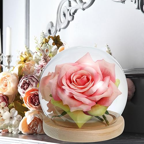 Miniatura 5 de PATIKIL Cúpula de cristal Cloche transparente de 4.7 pulgadas, tarro de cristal con vitrina, centro de mesa con base de madera natural para