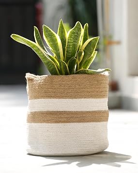 Earthly Essence Handwoven Organic Natural Jute Planter Cum Eco-Friendly Cotton Dori Storage Basket White & Brown