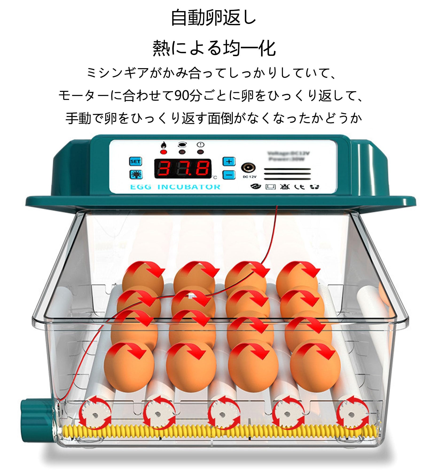 Amazon | 自動孵卵器 うずら孵卵機 自動温度制御孵卵器