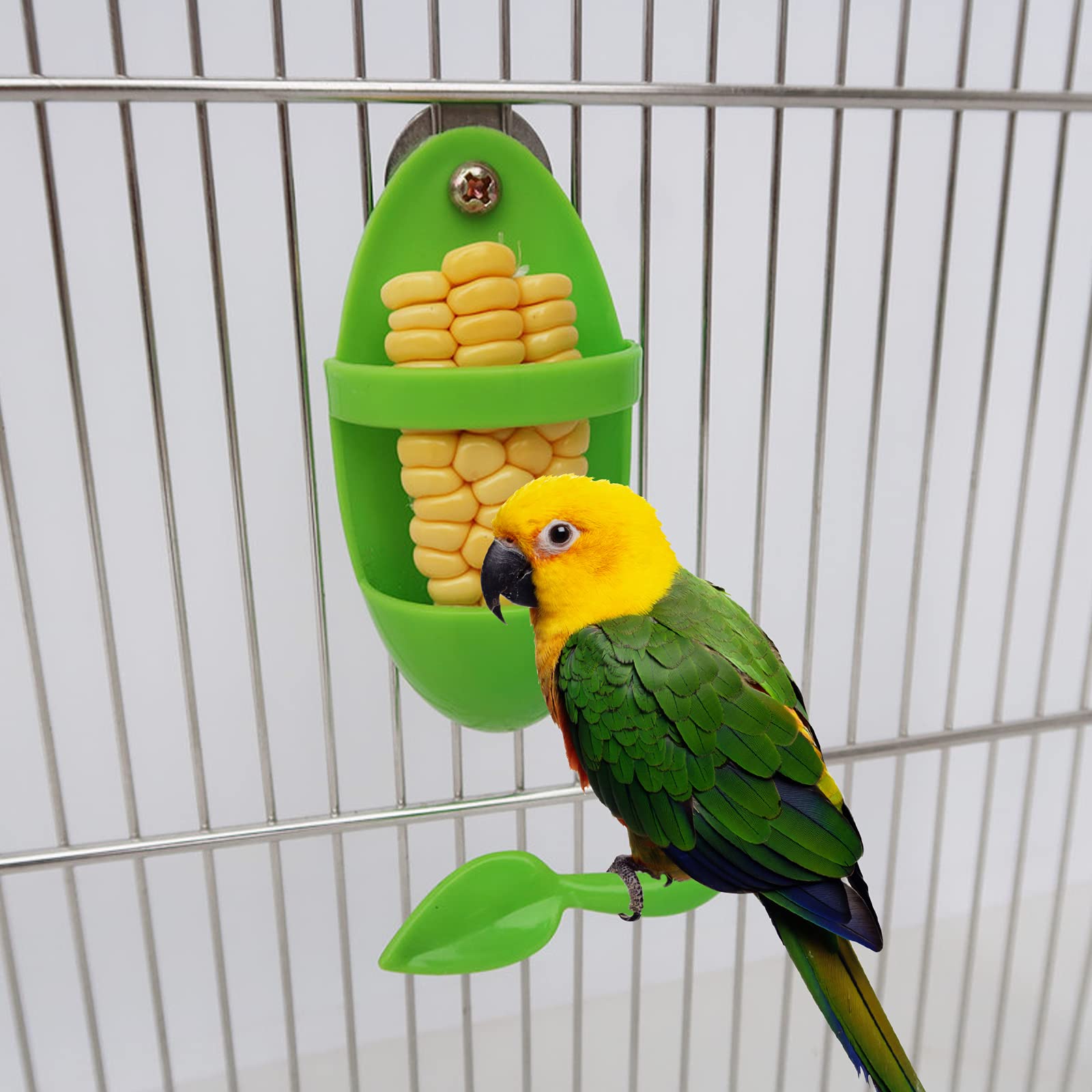 2Pcs Plastic Cuttlebone Holder Bird Feeding Cup Rack - Fruit & Gnawing Accessories for Bird Cage & Parrot - image 6
