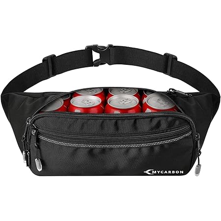 louboutin fanny pack