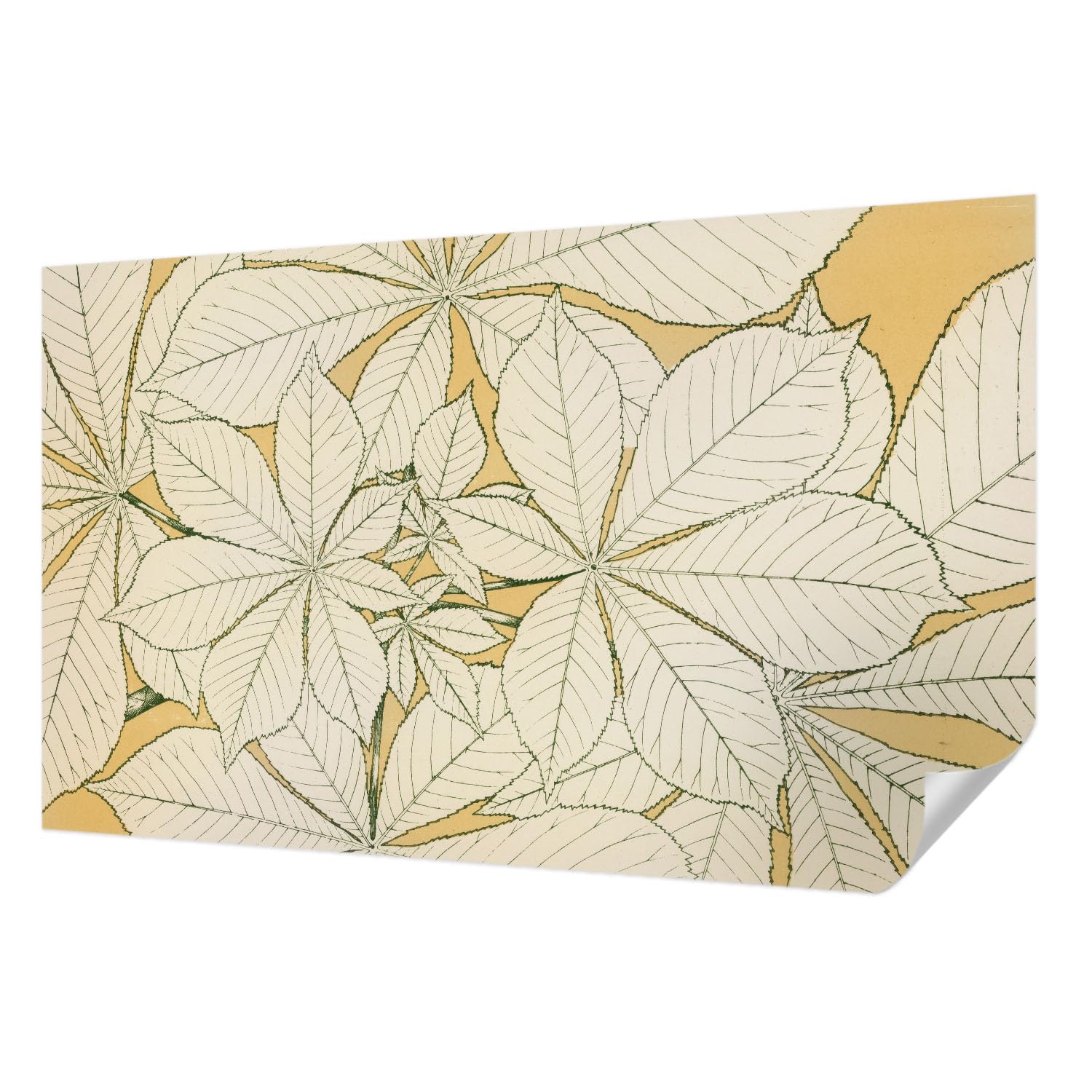 Feuilles de châtaignier sur papier peint autocollant pour un salon élégant et moderne