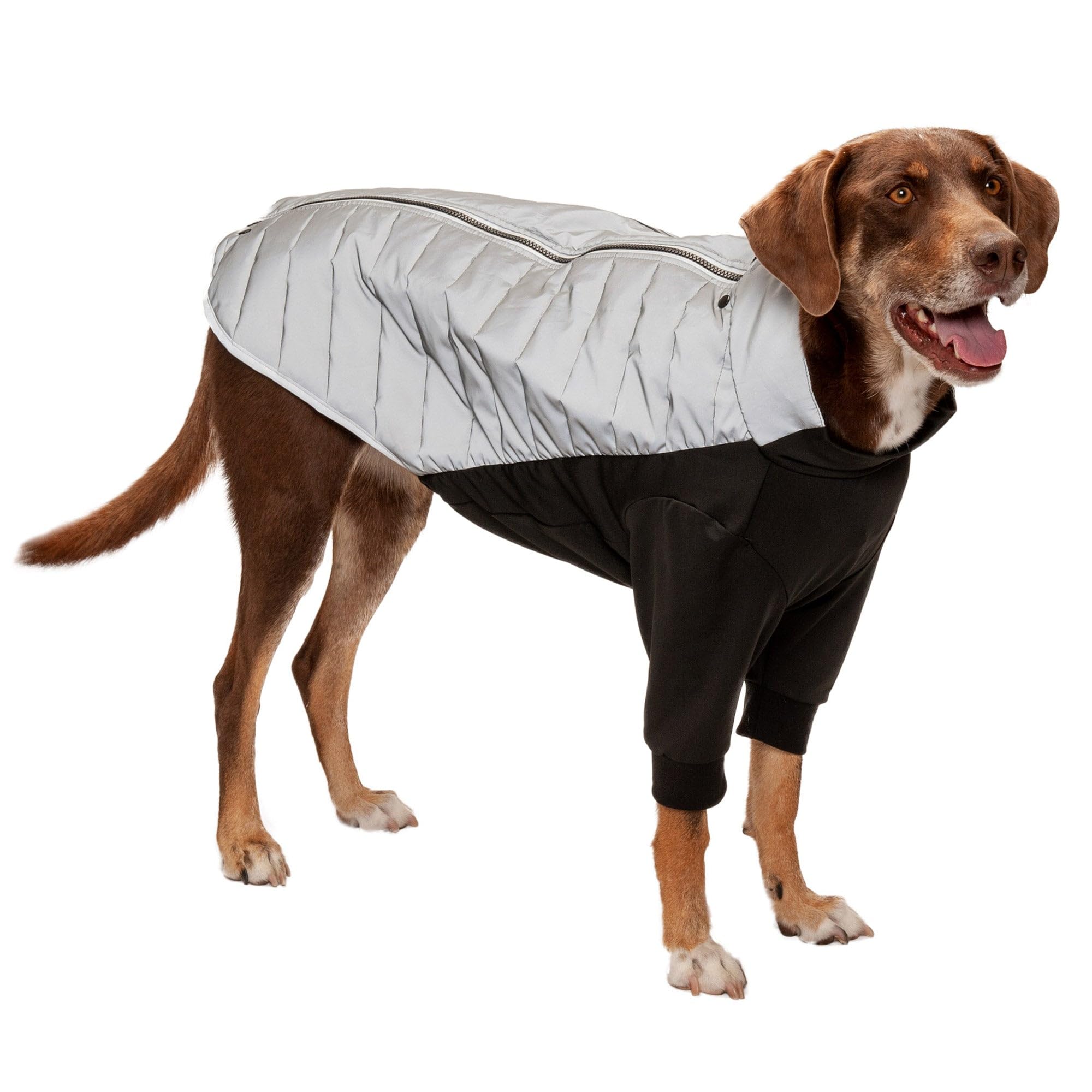 Furhaven Pet Apparel for Dogs and Puppies - Water-Repellent Reflective Pro-Fit Jacket Active Dog Coat, Washable, Chrome, Large — image 1