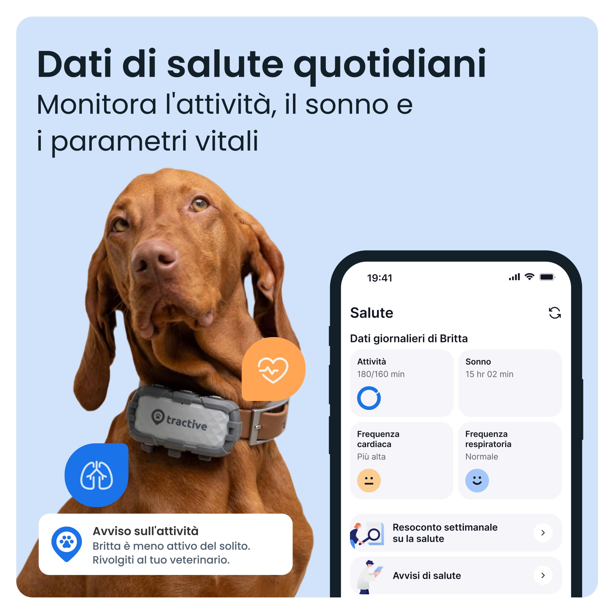 Tractive - GPS per cani XL Adventure - Rivestimento in fibra di vetro - Fino a 1 mese di batteria - Localizzazione GPS - Notifiche antifuga - Monitor di attività - Avvisi di salute