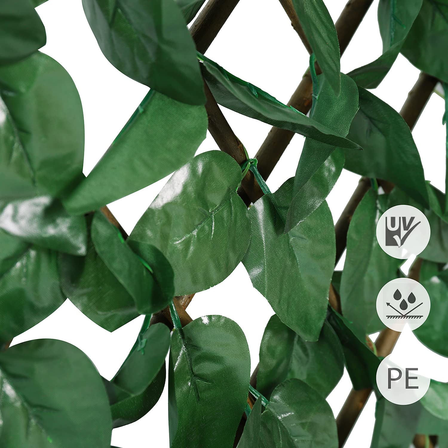 glanzmispel robusta höhe Kompakte Glanzmispel – Photinia × fraseri 'Robusta Compacta' (Solitär) –  Heinis Baumschulen main image 0