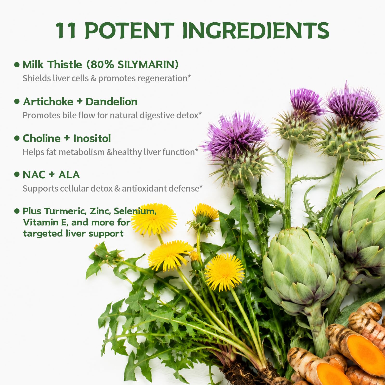 DR. Crown Milk Thistle Supplement for Liver Cleanse Detox & Repair — Amazon image 3