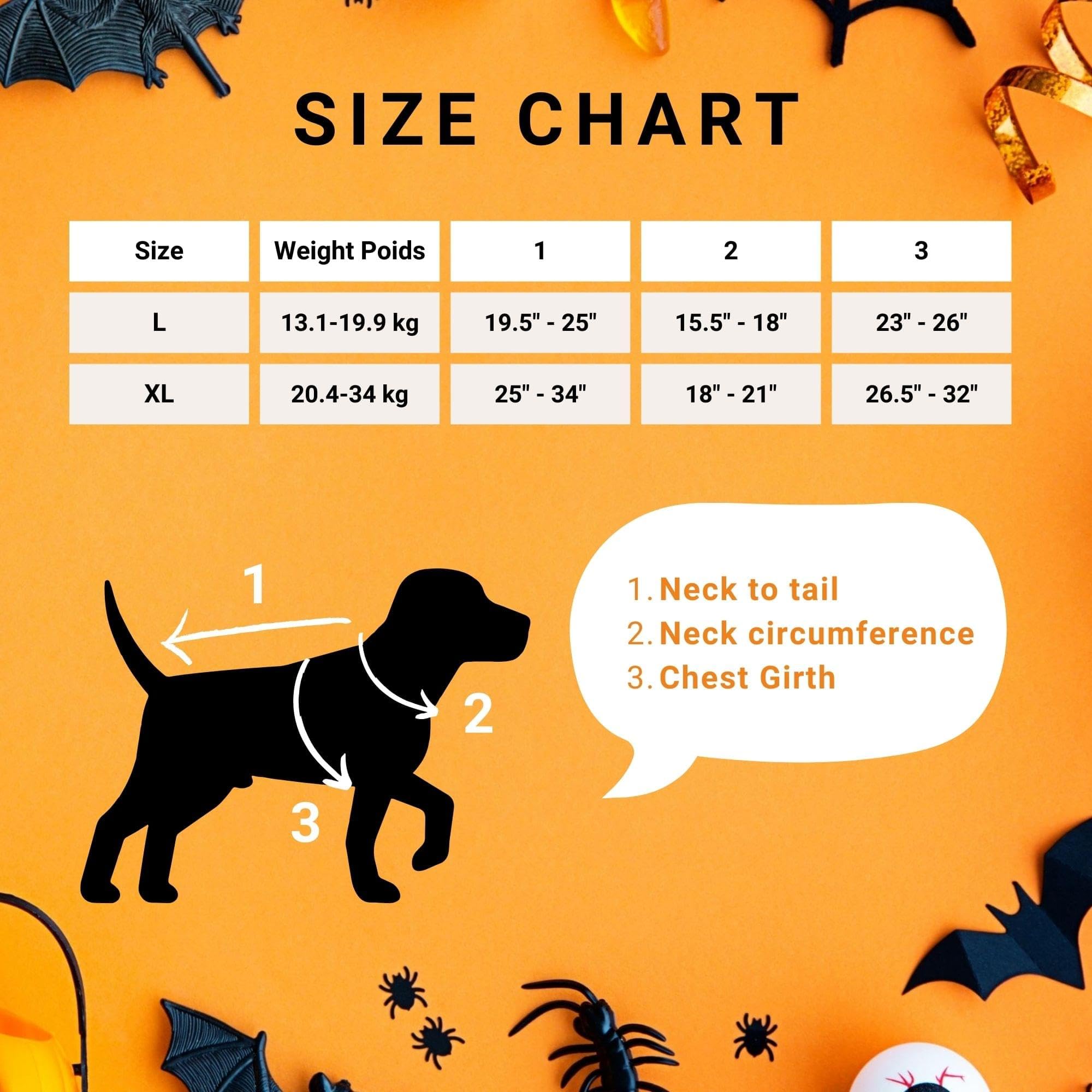Pizza Pet Fancy Dress Costume Small/Medium