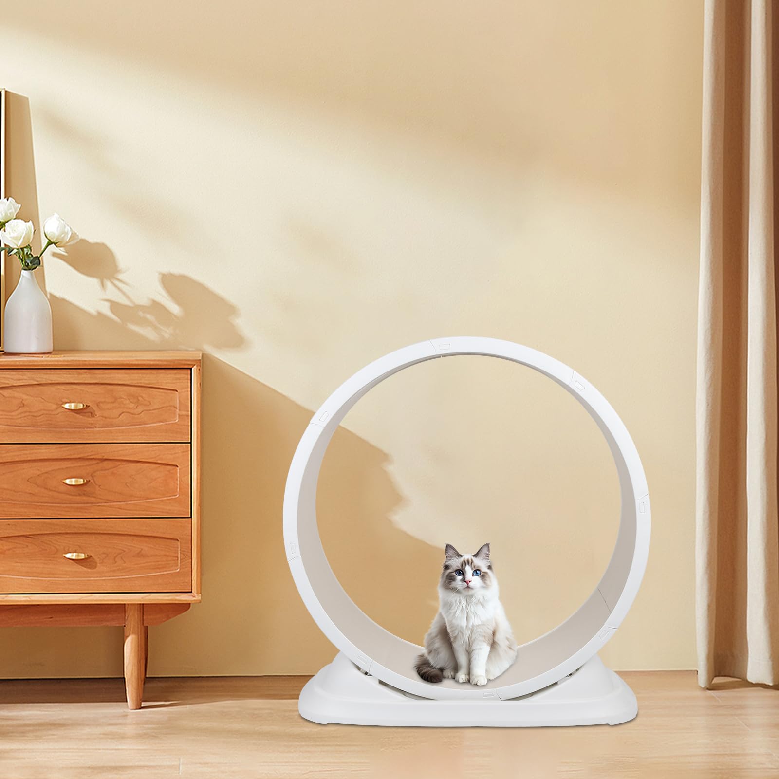 OHMG - Rueda de Ejercicio para Gatos de 80 cm, Cinta de Correr de Plástico con Moqueta, Súper Silenciosa - Juguete de Interior (85 x 80 x 33 cm)