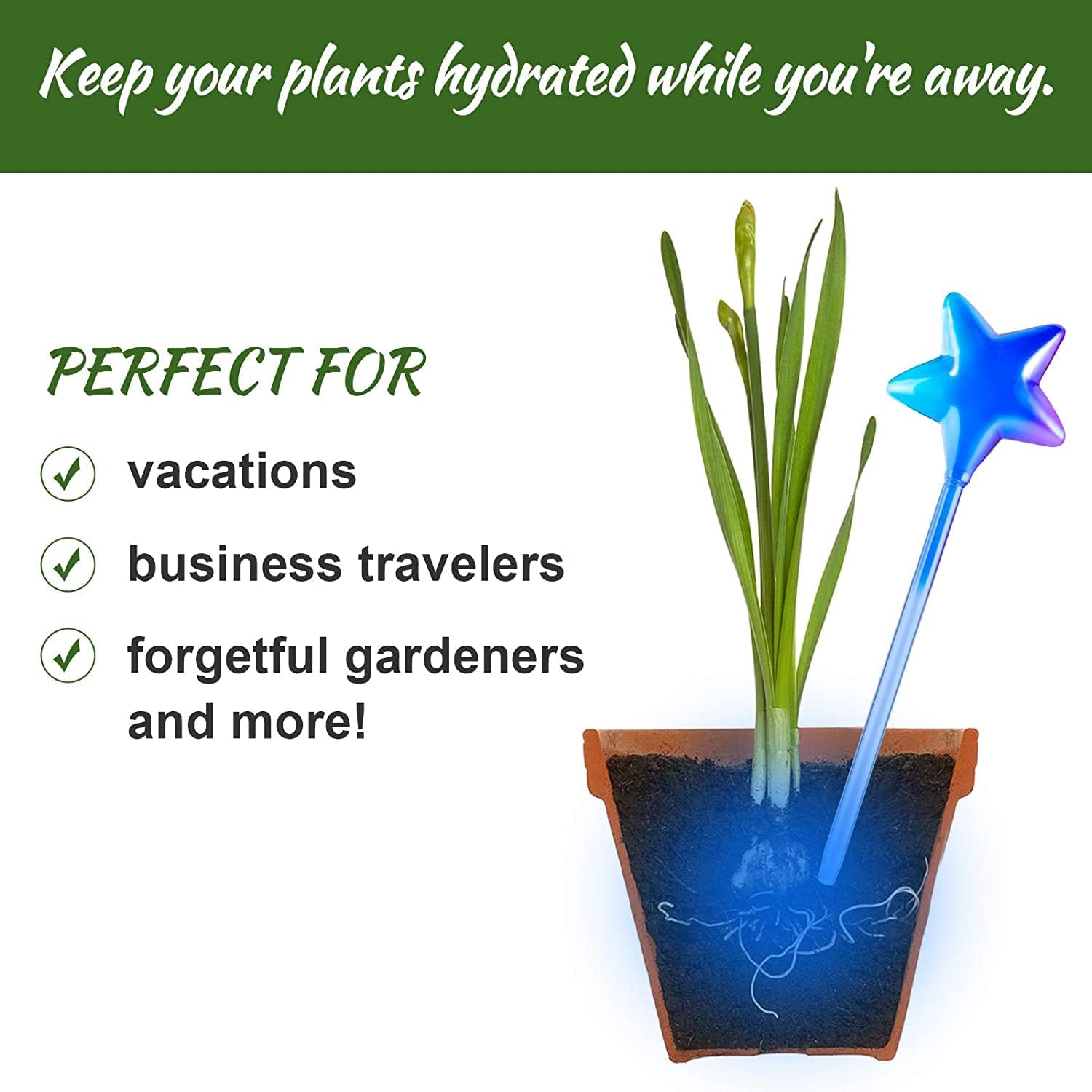 NiHome 4PCS Value Pack Hand Blown Glass Self Watering Bulbs, Indoor Outdoor Garden Patio Potted Plant Flower Auto Irrigation Aqua Spike Decor (Star-Shaped Night Sky Gradient Color)