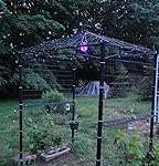 Review Image by Rick Mills Rick Mills