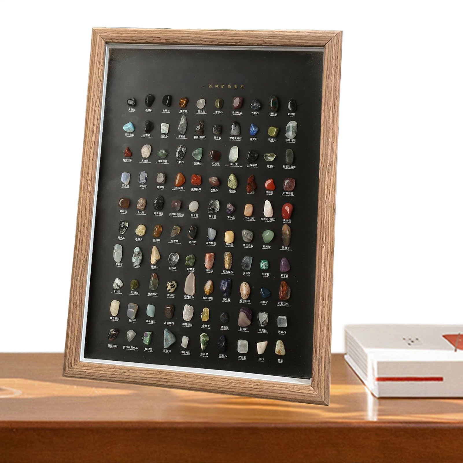 Colección de Kit Set Educativo de Ciencia de 100 Piezas