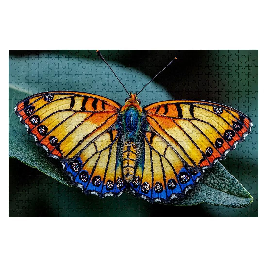 Puzzle 5000 sztuk motyl DIY Puzzle dla dorosłych 156 x 105 cm zestaw roślin wysokiej jakości z dodatkowymi zabawnymi wyzwaniami, kreatywna rozrywka klasyczne zabawne wyzwania na prezent wystrój I-06