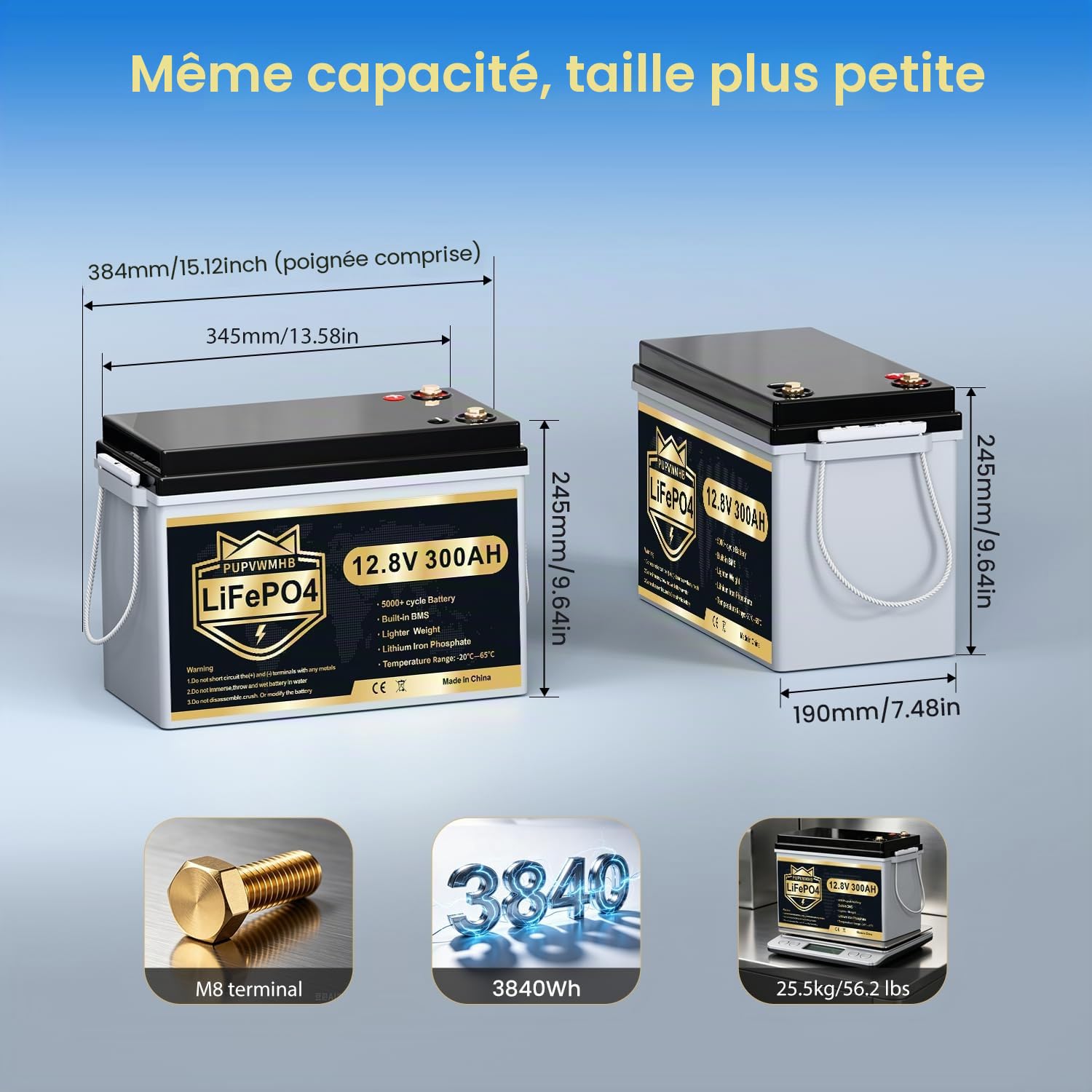 Batterie LiFePO4 12V 300Ah avec Bluetooth, BMS 200A, jusqu'à 15000 cycles, max 3840Wh, protection basse température, cycle profond, design compact, pour camping-car, solaire, moteur électrique