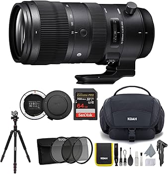 Amazon.com : Sigma 70-200mm f/2.8 DG OS HSM Sport Lens for Nikon F