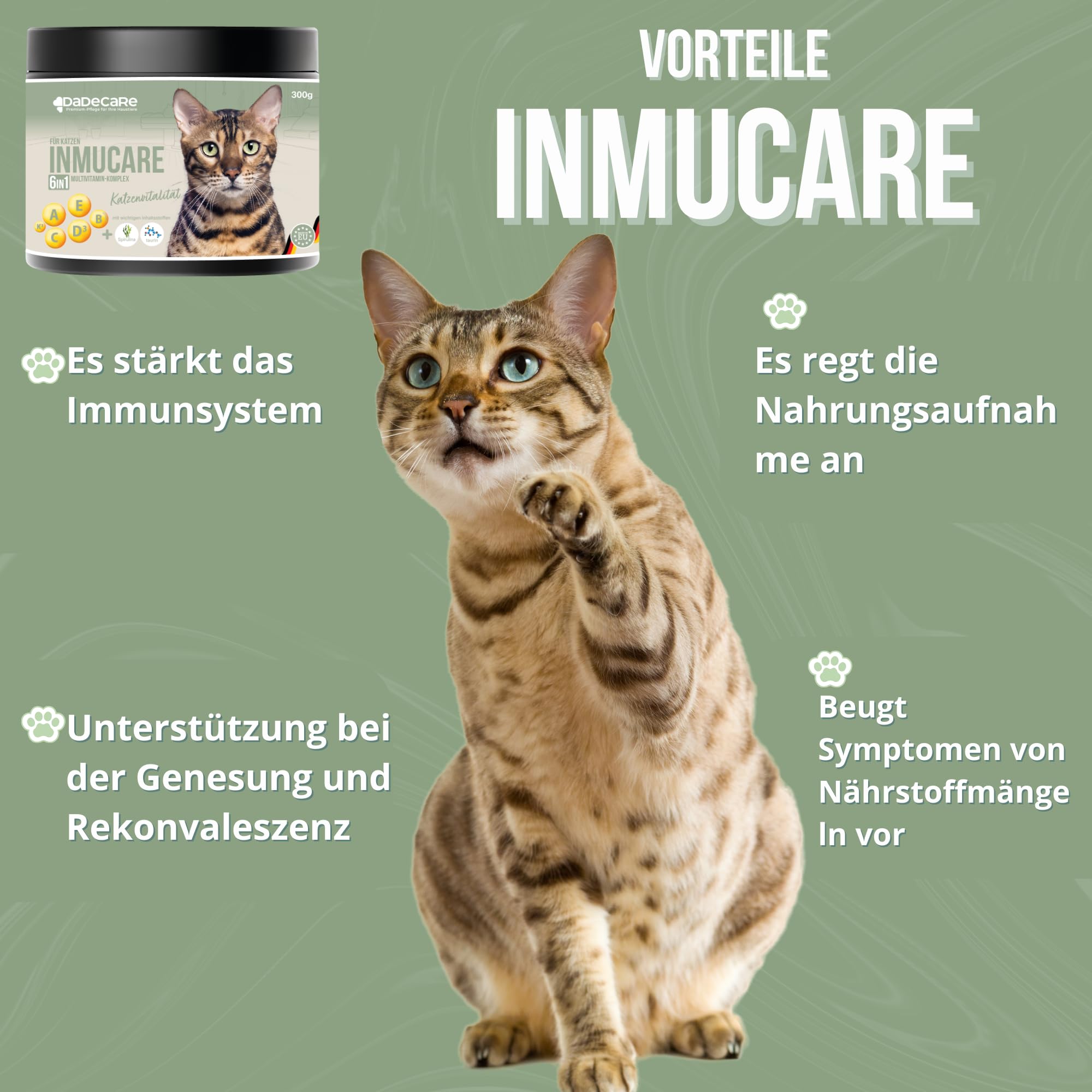 Inmucare Vitamin-Pulver für Katzen, 300 g, zur Stimulierung des Appetits, Unterstützung bei Genesung und Stressabbau, hilft bei Appetitlosigkeit und Schwächephasen