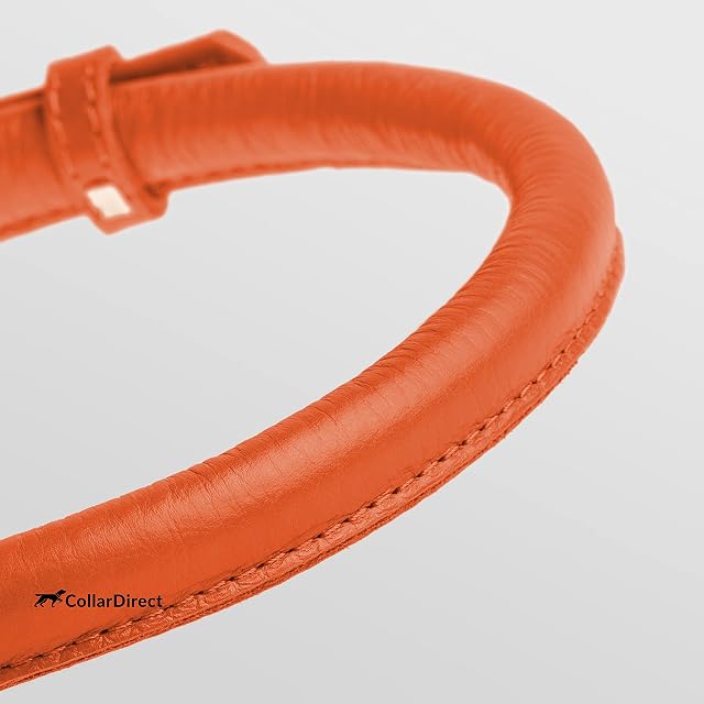 Foto 2 de 8 de CollarDirect Collar de perro de cuero enrollado, collar de cachorro redondo acolchado suave